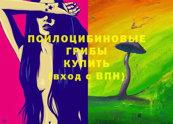 крисы Алзамай