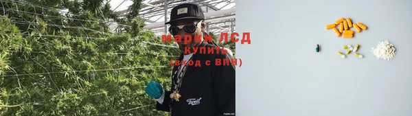 PSILOCYBIN Абинск
