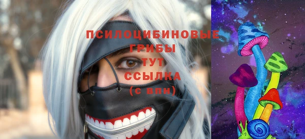 стаф Магадан