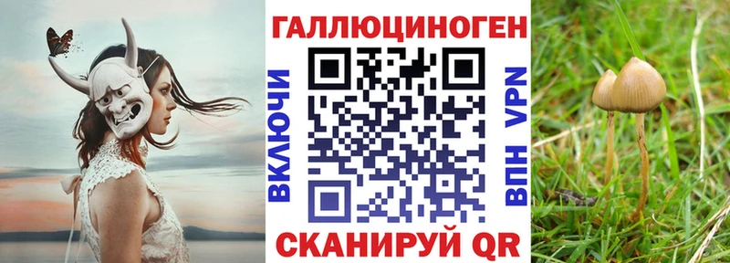 Галлюциногенные грибы Magic Shrooms  Щёкино 
